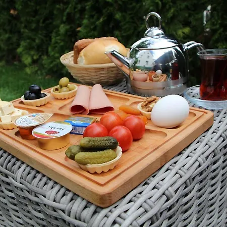 Ermis 메칭엔