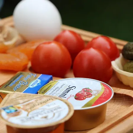 Ermis Metzingen (Tubingen)