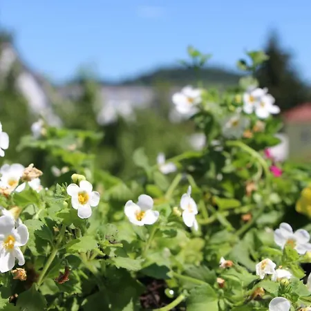 Ermis Metzingen (Tubingen)