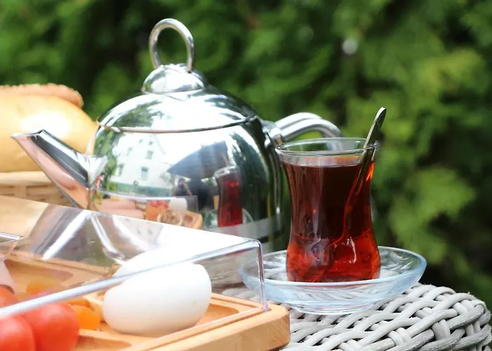 Apartament Ermis Metzingen (Tubingen)