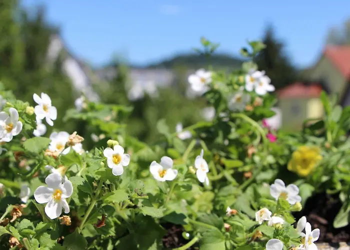 Ermis Metzingen (Tubingen)